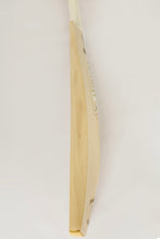 Load image into Gallery viewer, Praetorian English Willow Cricket bat