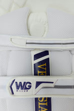 Load image into Gallery viewer, Vespasian Pads
