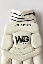 Load image into Gallery viewer, Gladius Gloves
